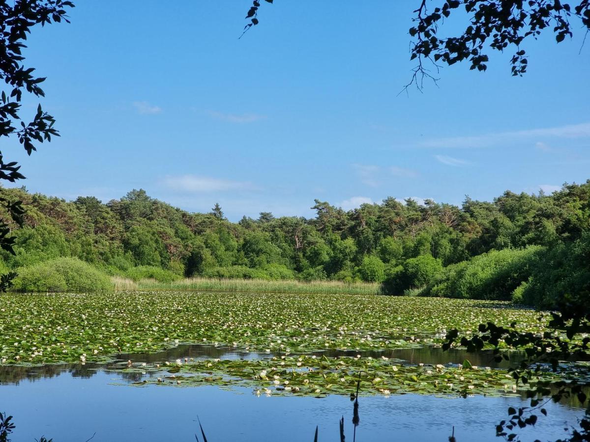 Frische Brise *